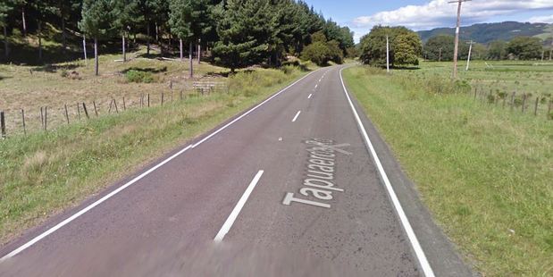 Emergency services were called to Tapuaeroa Road around 12:40am. Photo / Google Maps