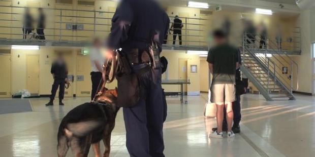 Corrective Services NSW image of raids at Parklea Prison in 2015. If this officer is new he would be called a "baggie". Photo/News Corp Australia