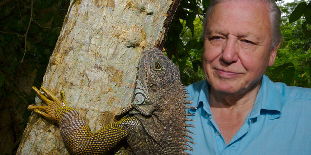 Sir David Attenborough has visited 37 per cent of the world. Photo / Supplied
