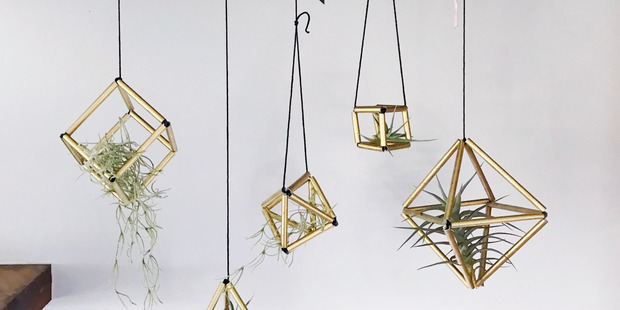 Display your airplants in these cool easy-make geometric hangers. Photo / Supplied