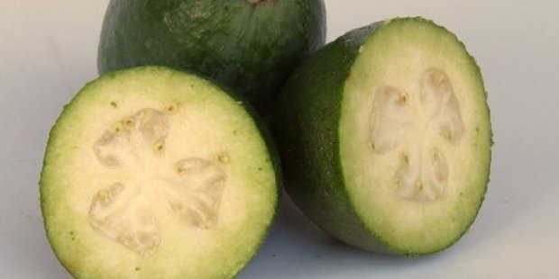 Our feijoas are under threat.