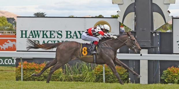 Savvy Dreams has drawn an outside gate for the Derby. Photo / Race Images
