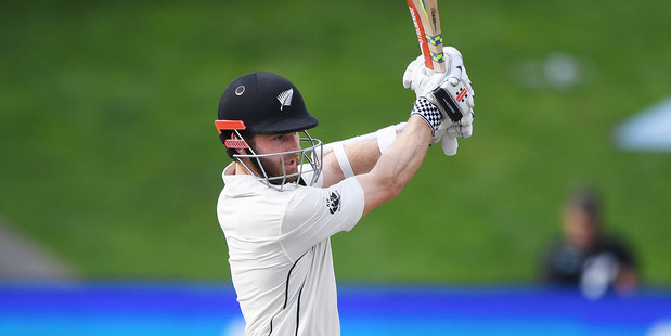 Niall O'Brien his century before Ireland fall to New Zealand