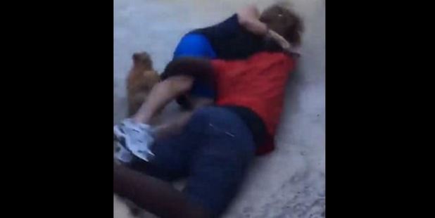 Elderly woman thrown into pool after she complained about music