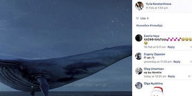 One teen had posted a picture with big blue whale, seen as a symbol of a social media movement encouraging children to take their own lives. Photo / The Siberian Times / Facebook