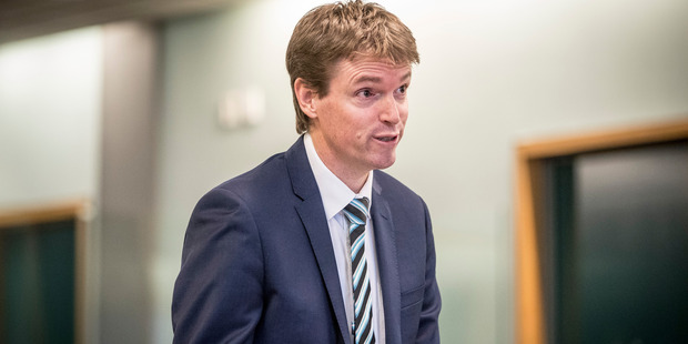 Colin Craig at the High Court at Auckland. Photo / Michael Craig.