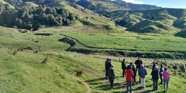 Queen Elizabeth II National Trust helps private landowners in New Zealand permanently protect special natural and cultural features on their land with open space covenants.