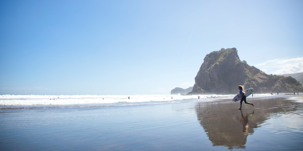 Waitakere police area commander Scott Webb said the man arrested is a Piha resident. Photo / File