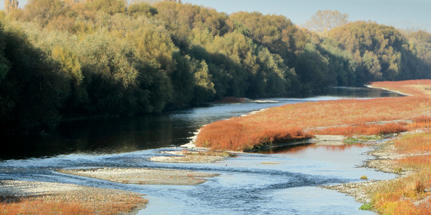 Hawke's Bay Regional Council says we should be aware of the risks to people and animals from toxic algae this summer.