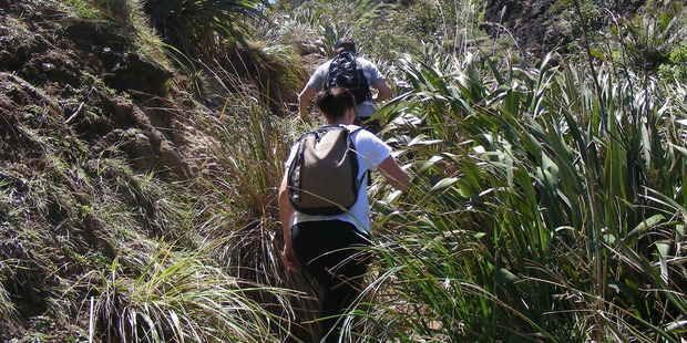 Whatipu is a hiker's dream.
