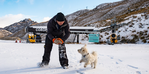 Coronet Peak Ski Area Manager Nigel Kerr with his snow dog, Oscar, in about 20cm of snow at the base building of Coronet Peak. Photo / Coronet Peak