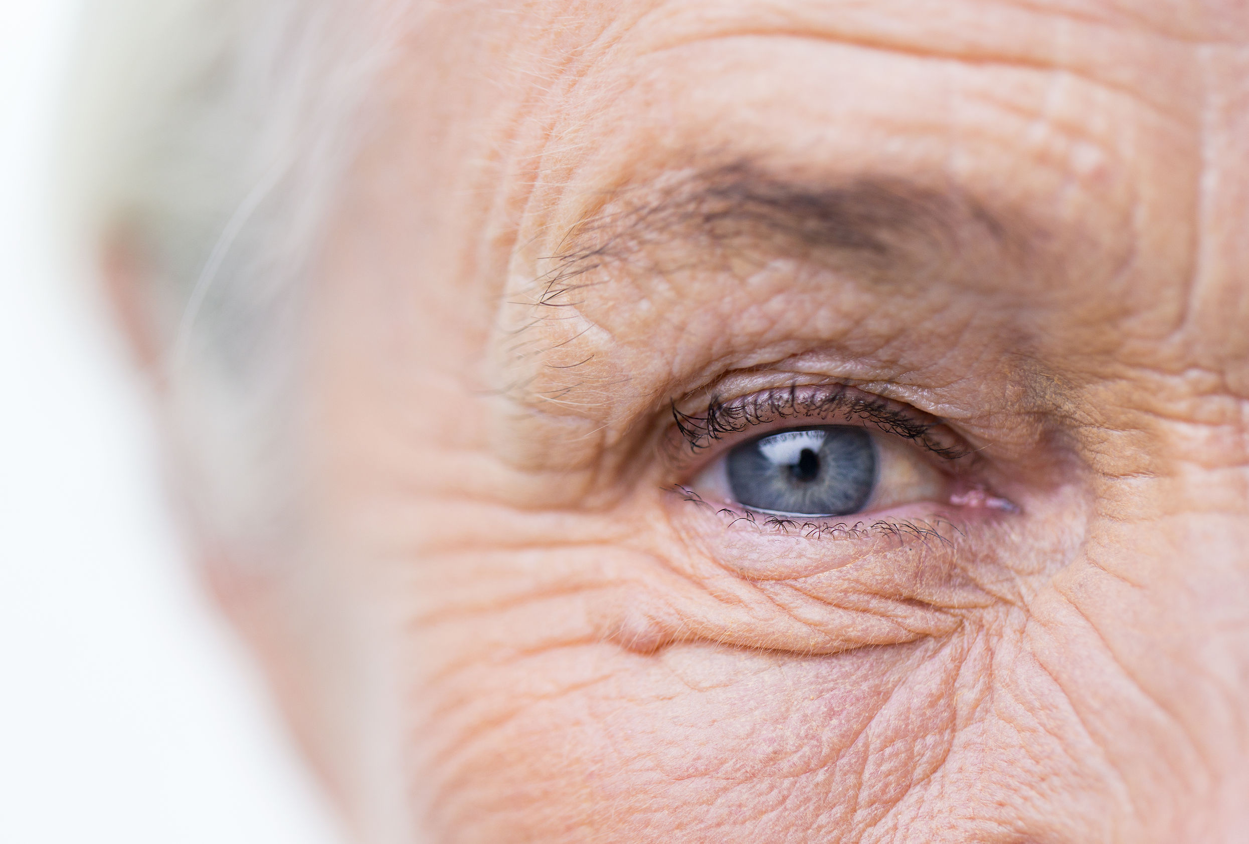 We treat "inferred" visual objects generated by the brain as more reliable than external images from the real world, scientists say. Photo / 123RF
