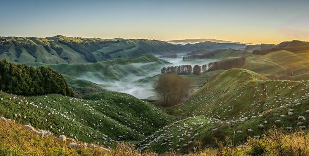 John Ford's winning entry from the Nature category.