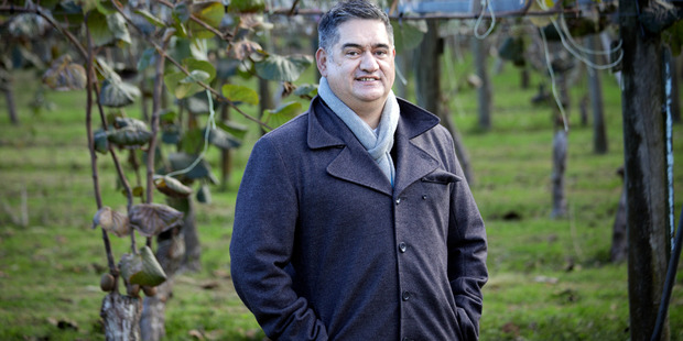 Māori Kiwifruit Growers Forum chairman Tiaki Hunia says Maori growers hope to grow their share in the market. Photo/Andrew Warner