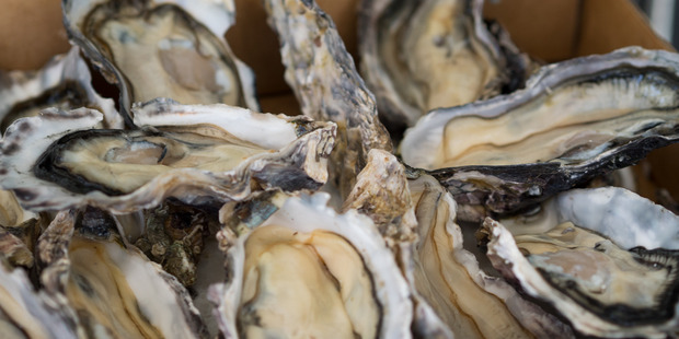 MPI has admitted it's unsure how long it will take to remove the oysters. Photo / File