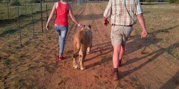 Tobie Bird and his wife Christolien started using Lobengula as a security guard on their farm in the Hopetown district after they received information about an imminent attack. Photo / Tobie Bird