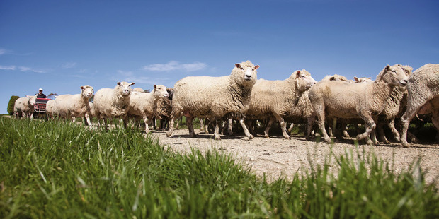 The door has closed on the worst wool season since the GFC as Chinese demand dries up.