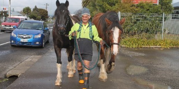 Geshi Postetnik walks Joshi and Frankie along High Street to train at the showgrounds.