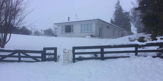 The extreme weather has been tough on farmers who had not planned for that much snow says Pete Fitz-Herbert. Photo / James Rogers