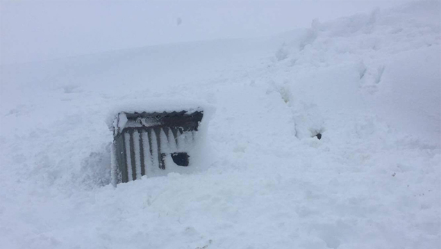 Believe it or not, this is a dog kennel. Photo / James Rogers