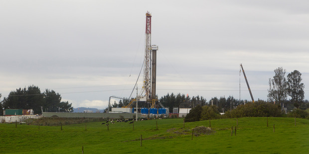 An oil and gas company is positive a Hawke's Bay environmental initiative will succeed. Photo / File