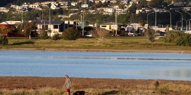 A $5million project has been outlined to improve the environment at the Ahuriri Estuary. Photo / Duncan Brown.