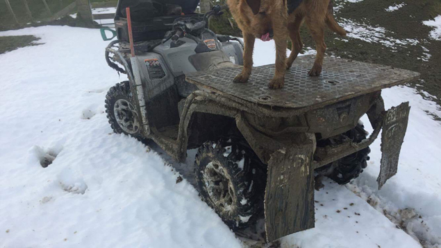 Work continues on farm despite conditions. Photo / James Rogers