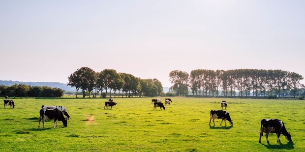 Farmers will be impacted by the Residential Tenancies Amendment Bill (No 2),