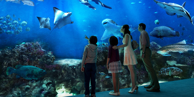 One of the huge tanks at Sentosa's S.E.A Aquarium in Singapore. Photo / Supplied