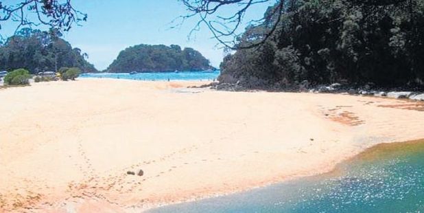 A rescue helicopter is heading to the Abel Tasman National Park to ferry a girl with a broken arm out of the South Island wilderness area. Photo / File