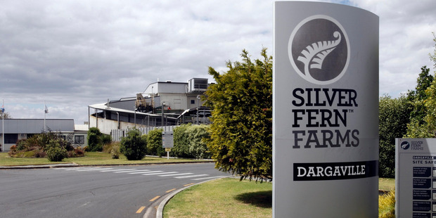 Silver Fern Farms meatworks at Dargaville. Picture / John Stone.