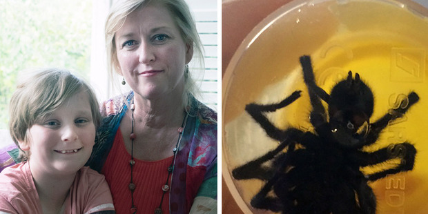 Loading Fiona Donagh with her son Oscar. And the spider that almost killed her. Photos / CATERS