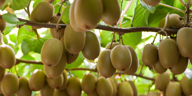 The PSA outbreak was preventable, a court has been told.