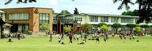 Being close to Hamilton Boys' High does not increase house values.