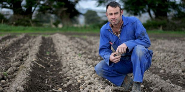 Opiki potato farmer, Mike Moleta. Photo / File