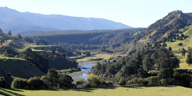 The site of the proposed Ruataniwha Dam, on the Makaroro River. After five years and $14 million, the Hawke's Bay regional council voted at its August 30 meeting to shelve the project.