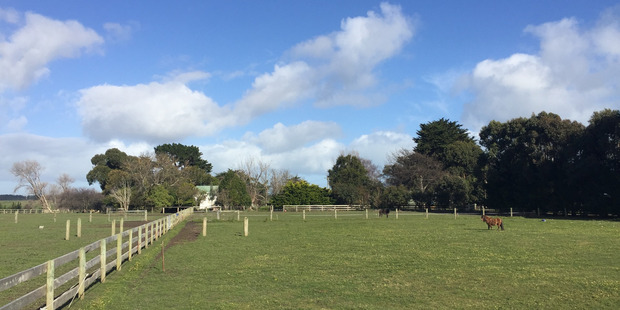 The fertile Fordell soils are a major attraction at 256 No2 Line.