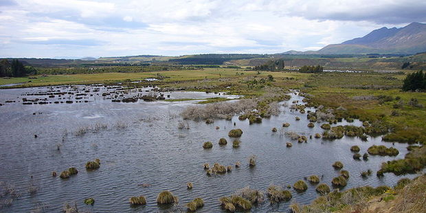 Rob Kempthorne says wetlands on farm are a cost-effective way to help the environment. Photo / File