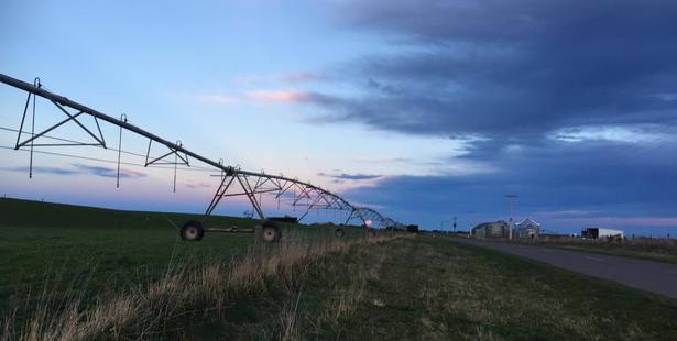 The rural sector is being touted as a main driving force behind South Canterbury's recent economic growth. Photo/Greta Yeoman