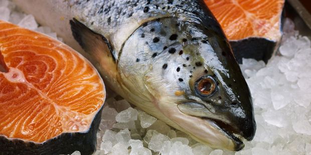 New Zealand King Salmon want thousands of salmon to be moved in the Marlborough Sounds for environmental reasons. Photo / 123RF
