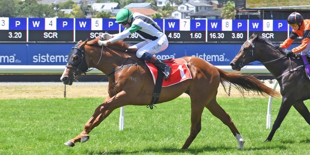 Felton Road is named after a vineyard. Photo / Race Images