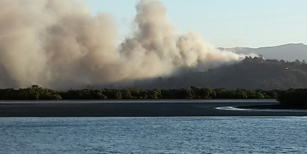 Firefighters expect to be at the scene of last week's devastating Whitianga blaze for another two weeks. Photo / Supplied