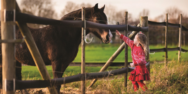 Generic image. Photo / 123RF