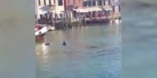The man struggles in the water as tourists watch from a boat.
