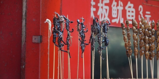 Fried scorpions. Photo / Josephine Lim