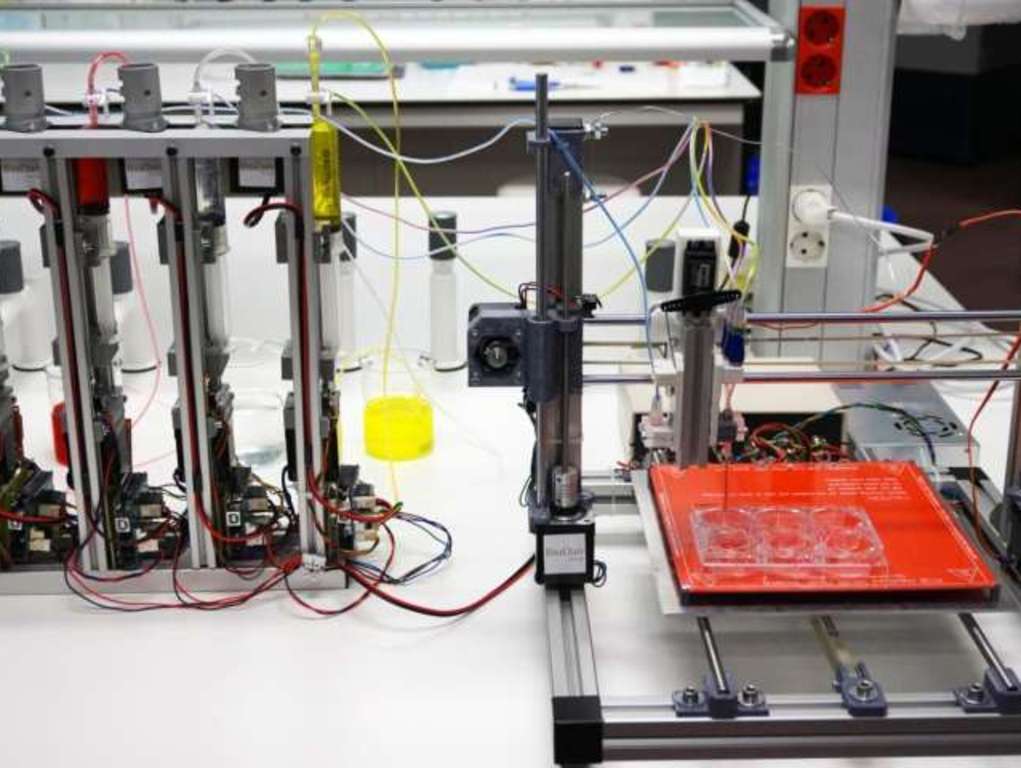Spanish scientists create 3D bioprinter which can print functional human