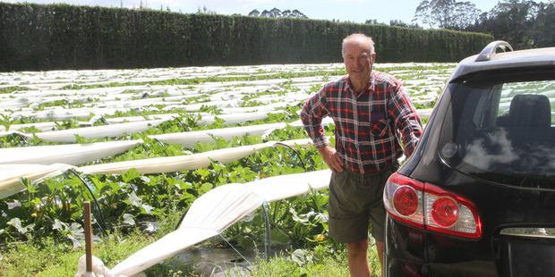 Horticulturist Brett Heap says his business can survive under current immigration laws, but bureaucracy is holding him back.