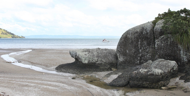 A grey beaked whale has beached at Taurikura, in Whangarei Harbour, above, today sparking a rescue effort from DOC, whale expert Ingrid Visser and locals.