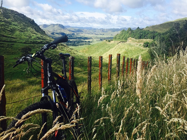 Looking down on the Motu Valley while on the Motu Trail - Opotiki to Gisborne. Photo / Grant Bradley