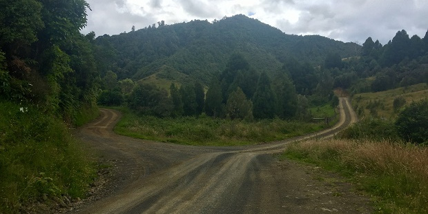 Fork in the road on the Motu Trail, Opotiki to Gisborne. Photo / Grant Bradley